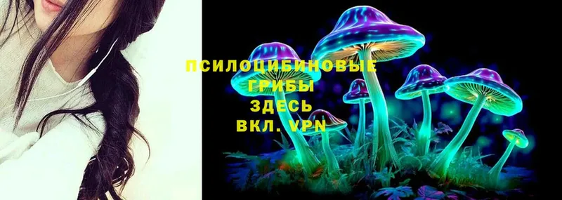 Галлюциногенные грибы Psilocybe  Череповец 